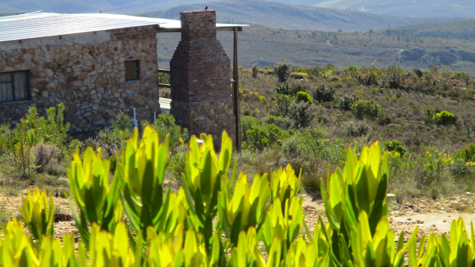 Western Cape Accommodation at  | Viya