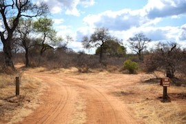 Kruger To Canyons Accommodation at Bush Babies Camp | Viya