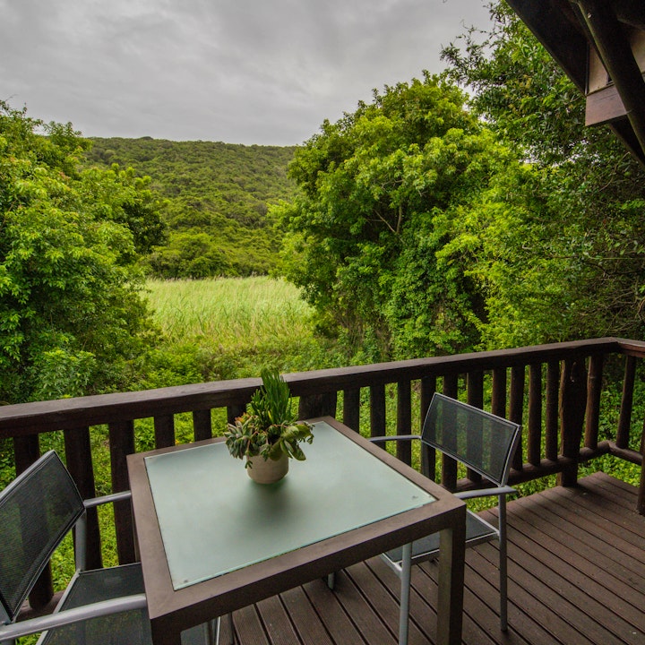Eastern Cape Accommodation at Thunzi Bush Lodge & Country Lodge | Viya