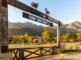 Boland Accommodation at Farm Sanctuary SA | Viya