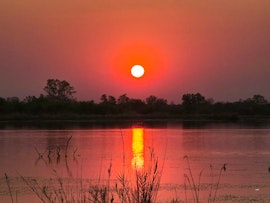 Dinokeng Game Reserve Accommodation at Cikeru Bush Camp - Gecko | Viya