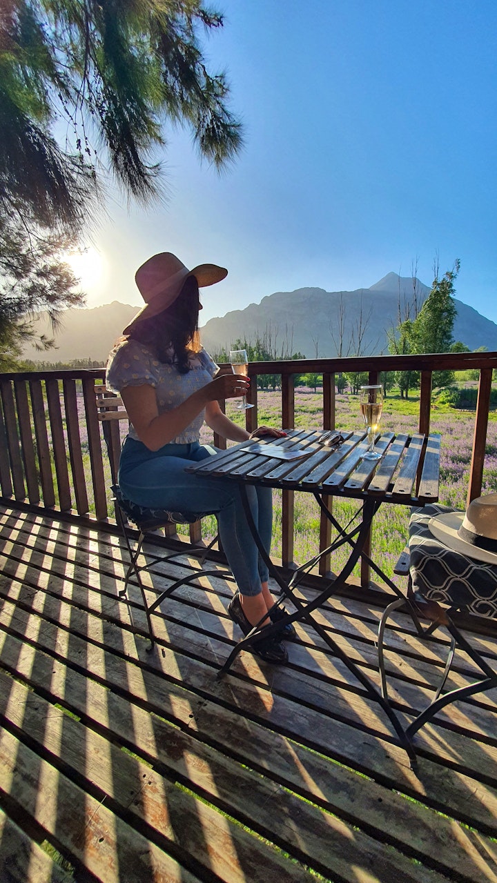 Western Cape Accommodation at Vindoux Guest Farm & Spa | Viya