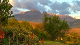 Drakensberg Accommodation at Diddly Squat | Viya