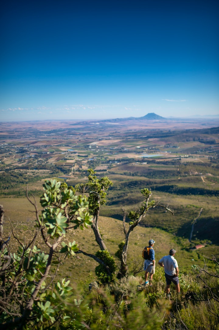 Western Cape Accommodation at Zielenrust | Viya