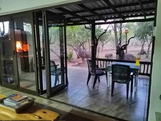 Kruger National Park South Accommodation at  | Viya