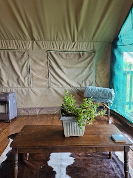 Karoo Accommodation at Tent House | Viya