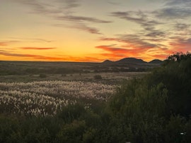 Karoo Accommodation at Rock Cabin | Viya