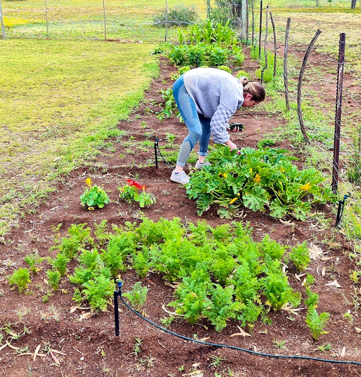 Karoo Accommodation at Little Farms | Viya