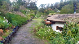 Garden Route Accommodation at Halfmoon Hollow Eco Cottage | Viya