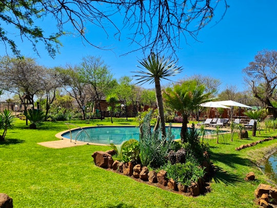 Dinokeng Game Reserve Accommodation at  | Viya