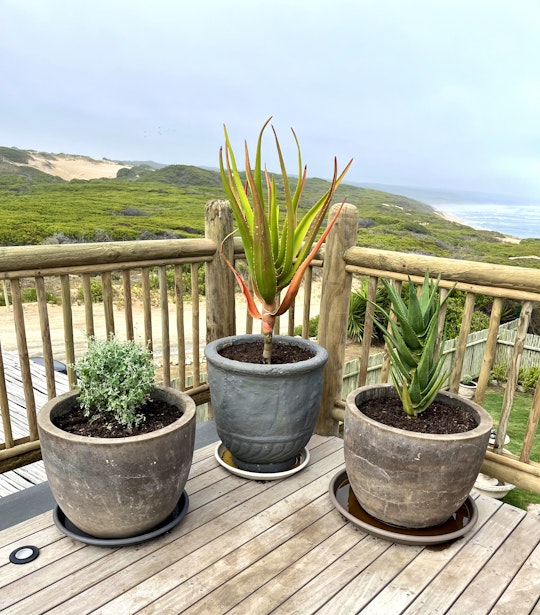 Garden Route Accommodation at  | Viya