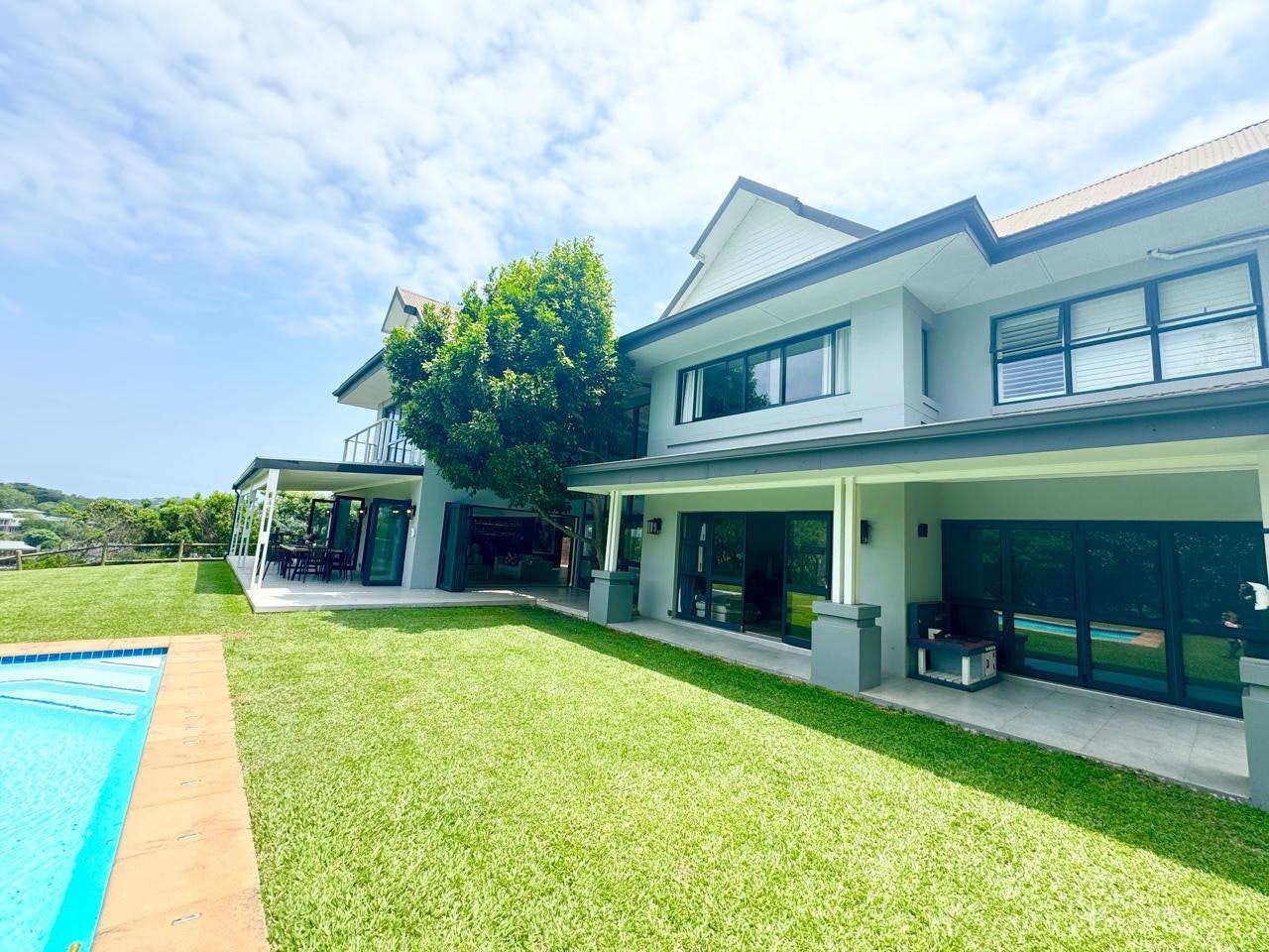 Cussonia Way Paradise HL1463: image no 2 of 37