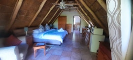 Cape Town Accommodation at  | Viya