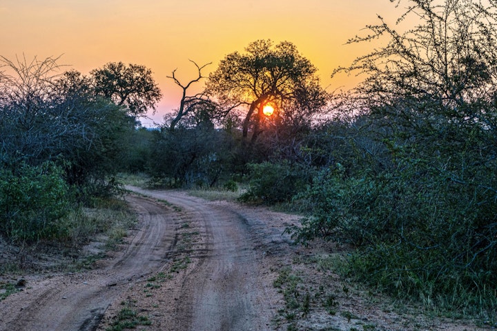 Limpopo Accommodation at Warthog Lodge – Mabalingwe Nature Reserve | Viya