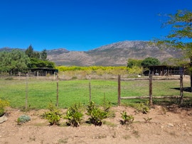 Western Cape Accommodation at Novello Farm | Viya