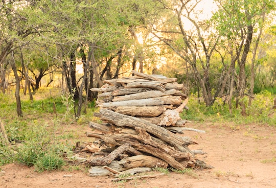 Waterberg Accommodation at  | Viya