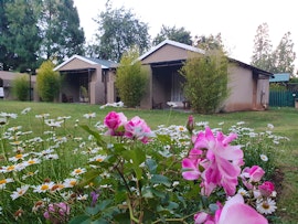 Panorama Route Accommodation at Stone-Fly Guesthouse | Viya