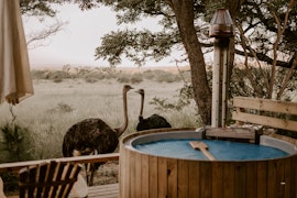 Waterberg Accommodation at  | Viya