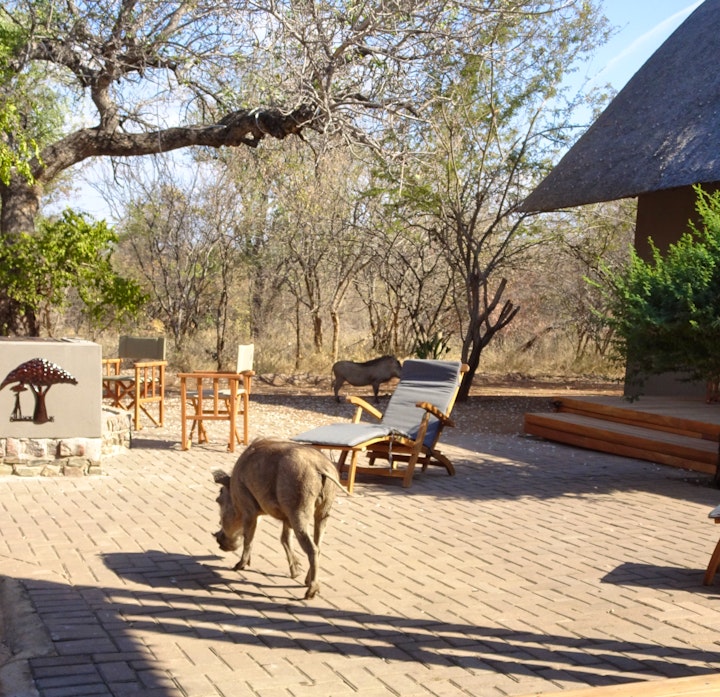 Mpumalanga Accommodation at Swiblati Lodge | Viya