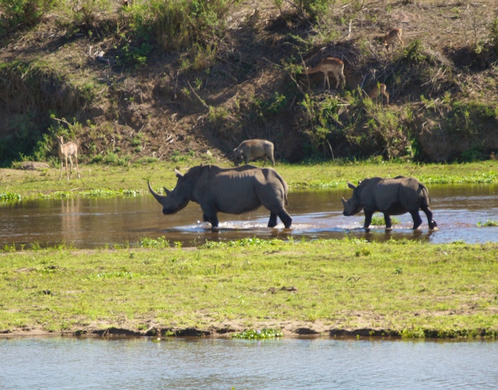 Mpumalanga Accommodation at Marloth Park Hippo House | Viya