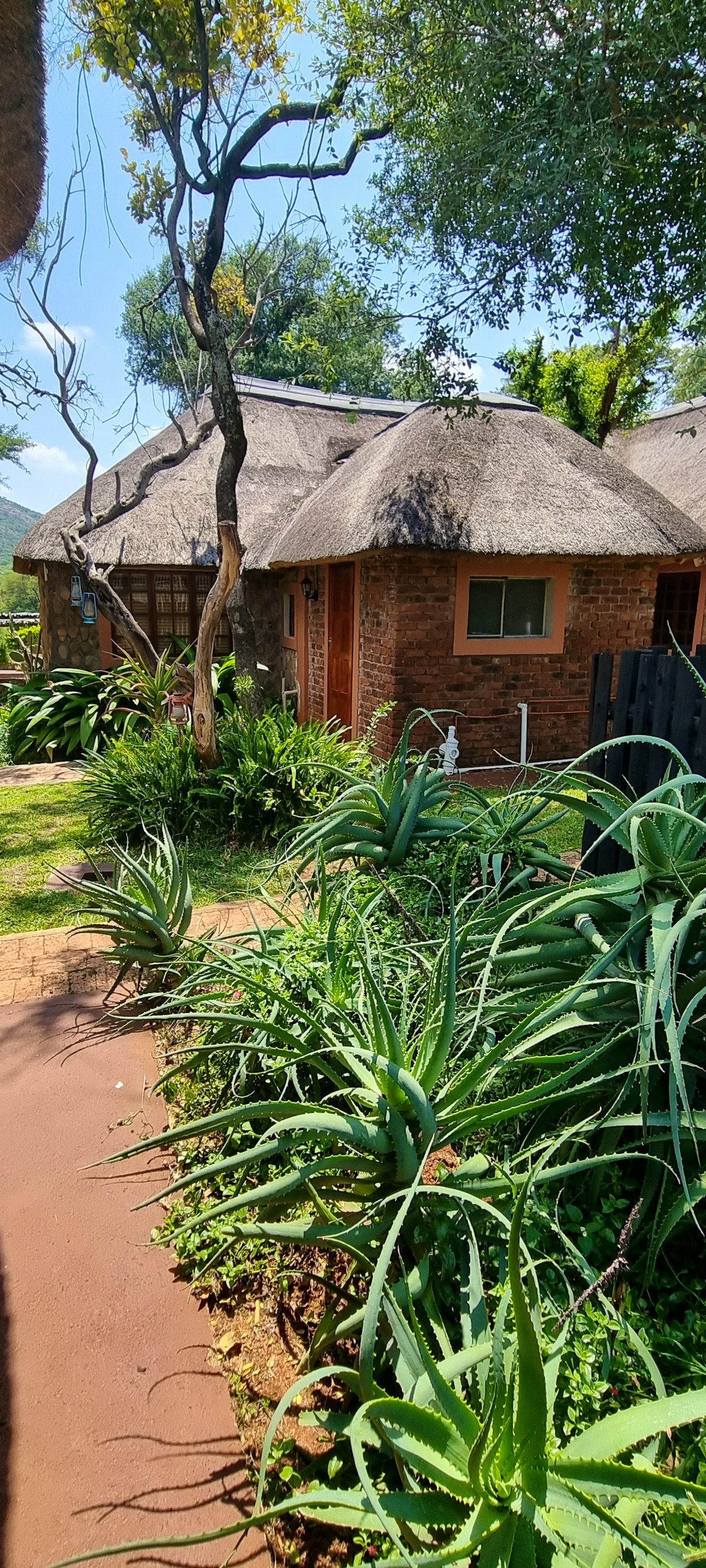 Limpopo Accommodation at  | Viya