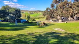 Overberg Accommodation at Klein Watervalplaas | Viya