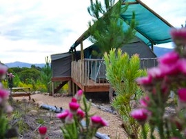 Overberg Accommodation at  | Viya