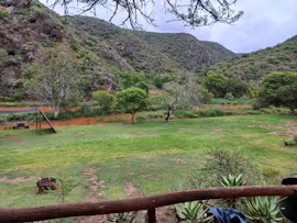 Garden Route Accommodation at Saxon River Camp | Viya