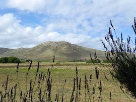 Overberg Accommodation at Klein Paradijs Country Retreat Big Thatched Cottage 4 | Viya