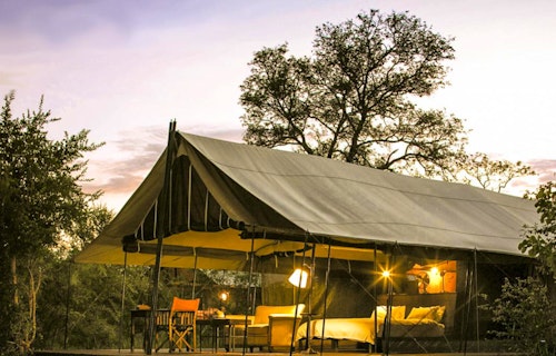 de elite Tomaat realiteit Honeyguide Tented Safari Camp - Mantobeni | Rooms