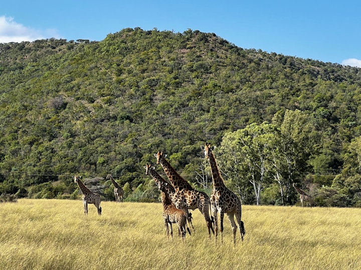 Limpopo Accommodation at Sunset House @ Rietfontein | Viya