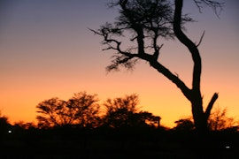 Kalahari Accommodation at Geskenk van Bo | Viya