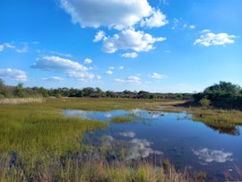 Dinokeng Game Reserve Accommodation at Delmarei Privaat Boskamp-Haak-en-Steek | Viya