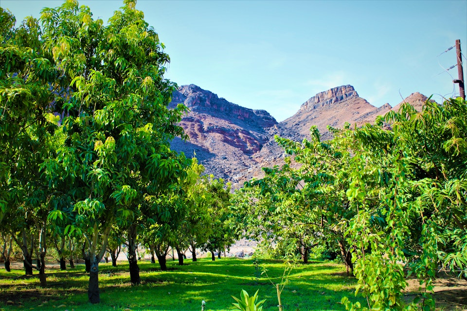 Namaqualand Accommodation at  | Viya