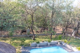 Kruger National Park South Accommodation at  | Viya