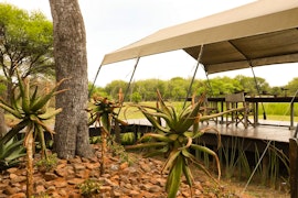 Waterberg Accommodation at  | Viya