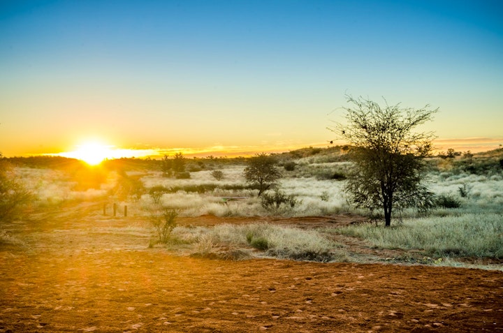Northern Cape Accommodation at Drumsheugh Farmstead and Cattle Farm | Viya