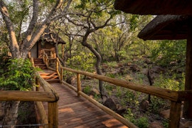 Vaalwater Accommodation at Tshwene Lodge | Viya