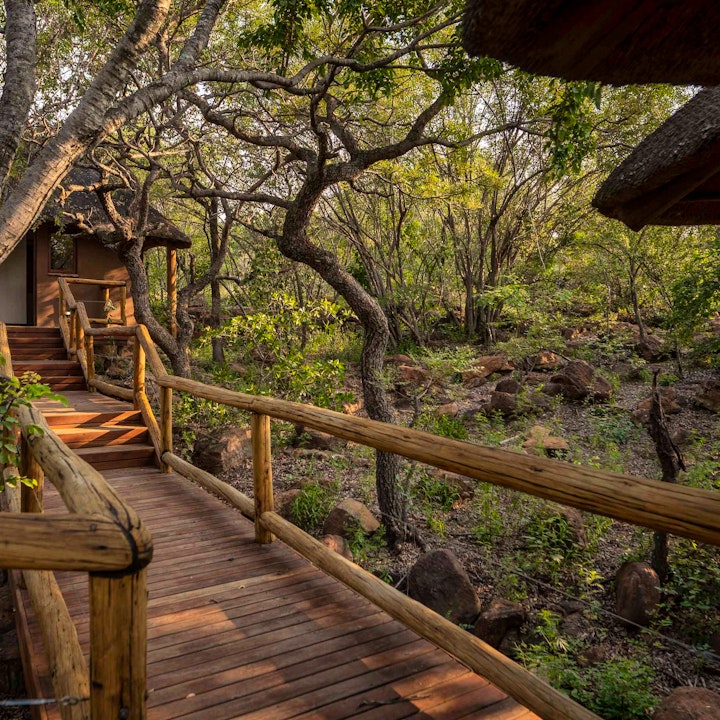 Waterberg Accommodation at Tshwene Lodge | Viya