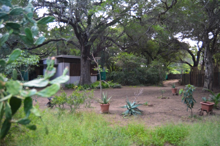 KwaZulu-Natal Accommodation at Lebombo Wattle Cottage - Forest 2 | Viya