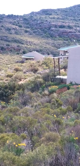 Western Cape Accommodation at  | Viya