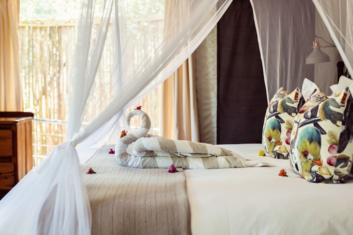 Mpumalanga Accommodation at Umkumbe Bush Lodge Luxury Tented Camp | Viya