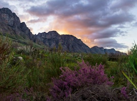 Western Cape Accommodation at Olienhout Cabin @ Platbos Log Cabins | Viya