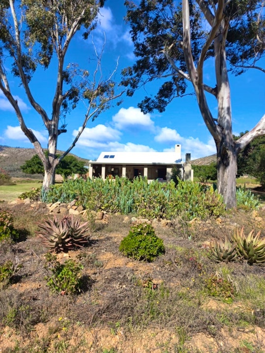 Garden Route Accommodation at  | Viya