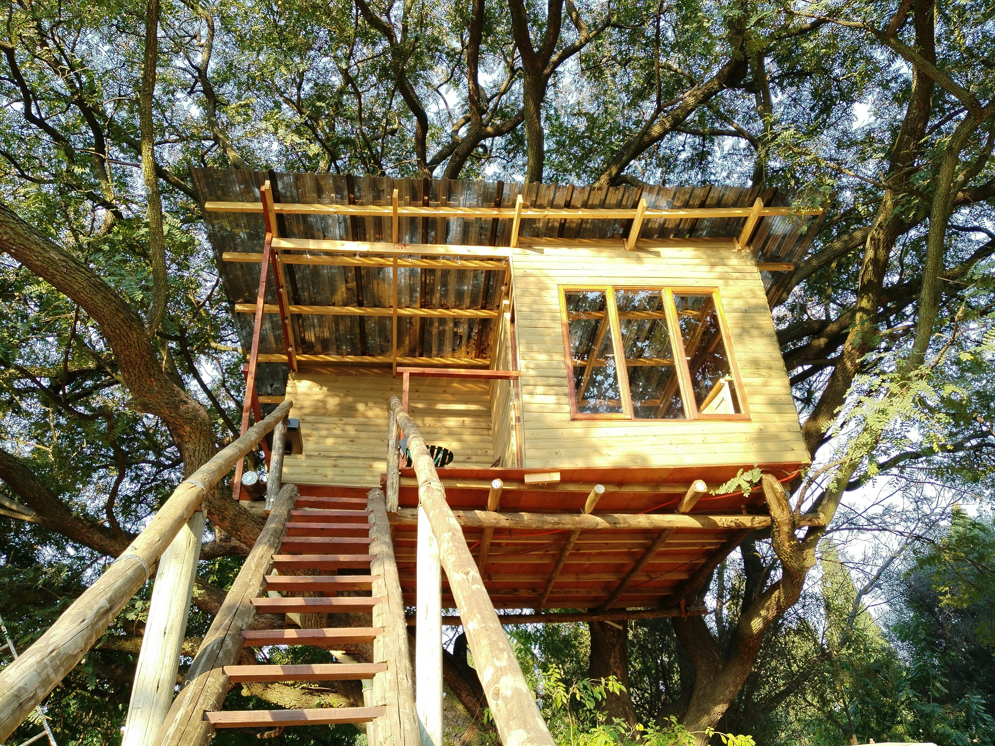Tree House Living image no 2 of 14