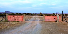 Namibia Accommodation at Alte Kalköfen Lodge | Viya