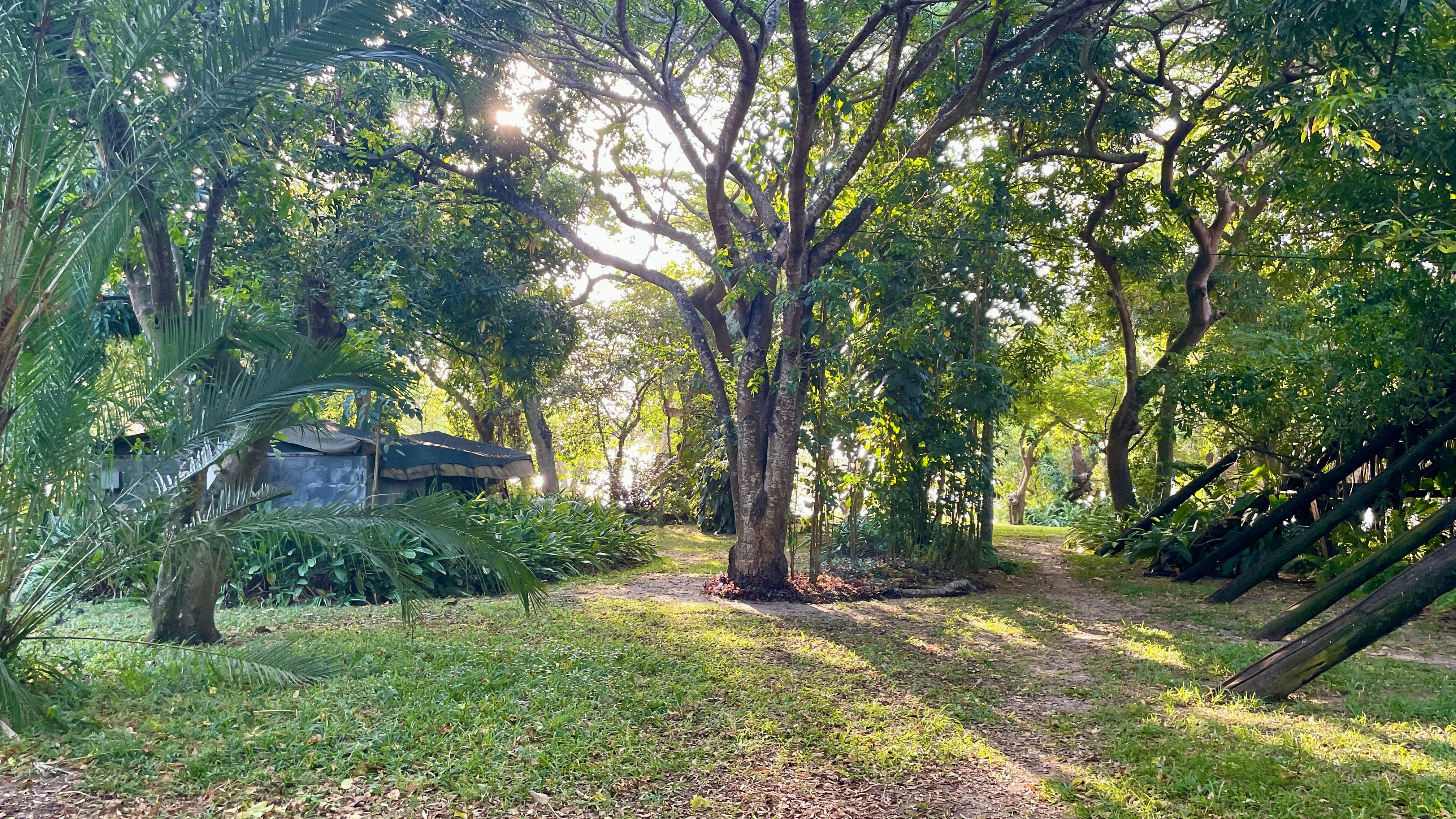 Villa N'Banga image no 4 of 10