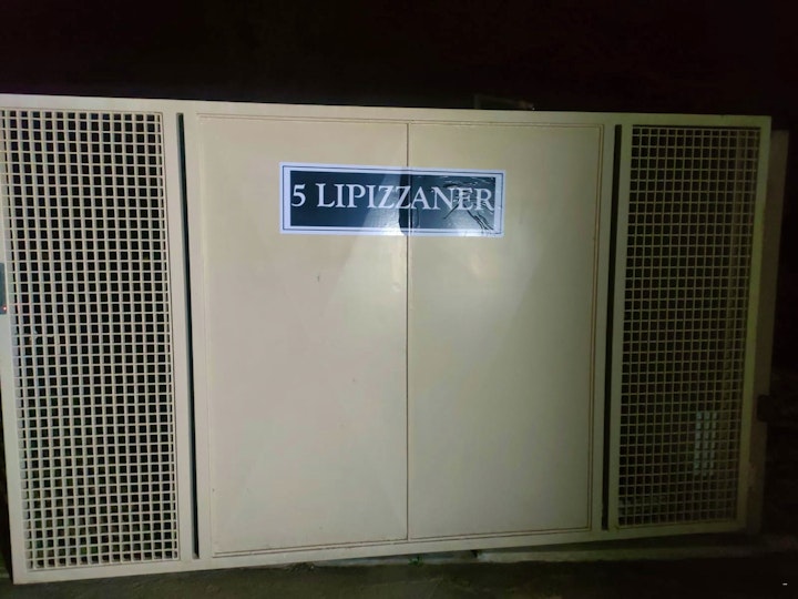 Midrand Accommodation at Lipizzaner Lodge | Viya