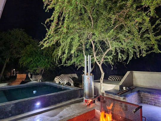 Kruger National Park South Accommodation at  | Viya