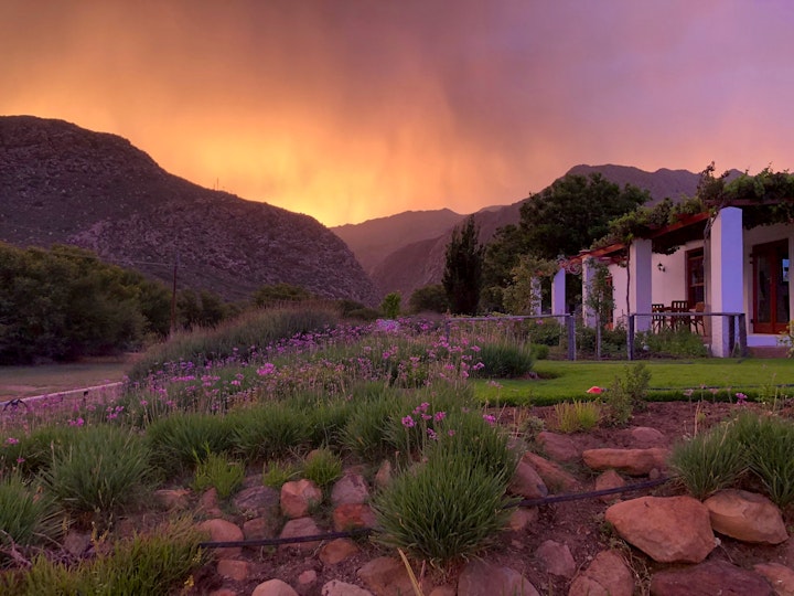 Cape Winelands Accommodation at Alpaca Inn | Viya